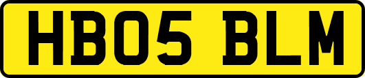 HB05BLM