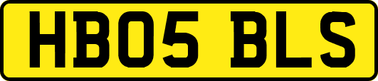 HB05BLS