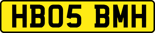 HB05BMH
