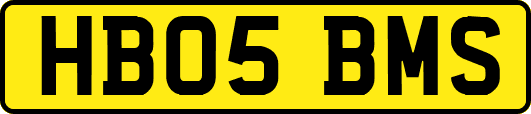 HB05BMS