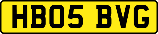 HB05BVG