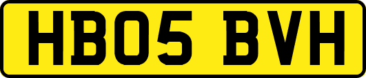 HB05BVH