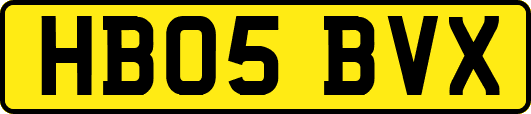 HB05BVX