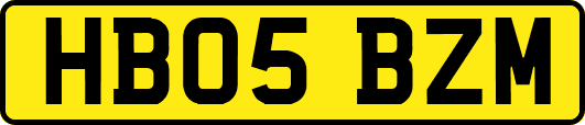 HB05BZM