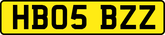 HB05BZZ