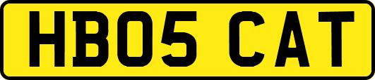 HB05CAT