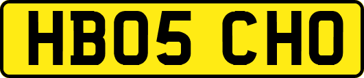 HB05CHO