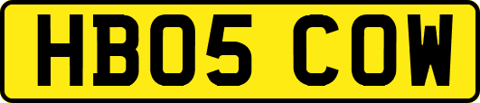 HB05COW