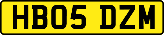HB05DZM