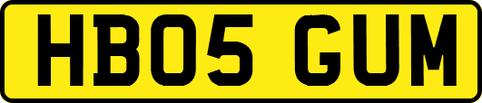 HB05GUM