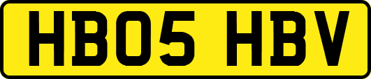 HB05HBV