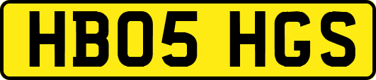 HB05HGS