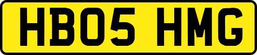 HB05HMG