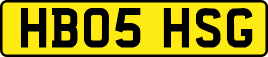 HB05HSG