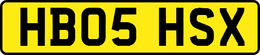 HB05HSX