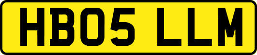 HB05LLM
