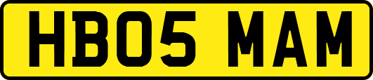 HB05MAM