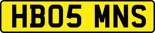HB05MNS