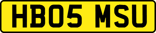 HB05MSU