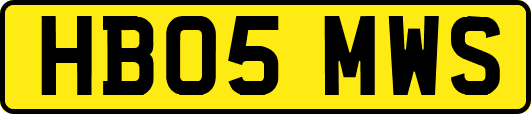 HB05MWS