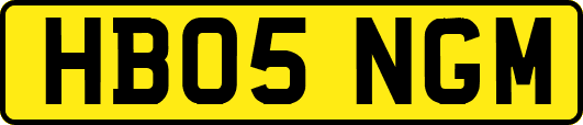 HB05NGM
