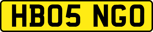 HB05NGO