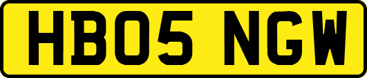 HB05NGW