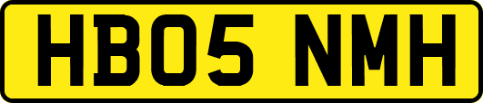 HB05NMH