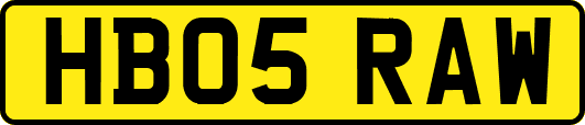 HB05RAW