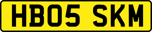 HB05SKM