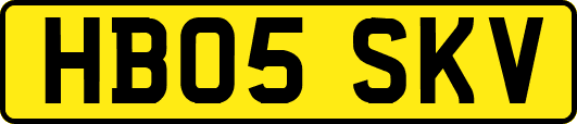 HB05SKV