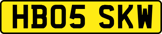 HB05SKW