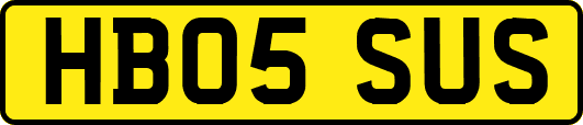 HB05SUS