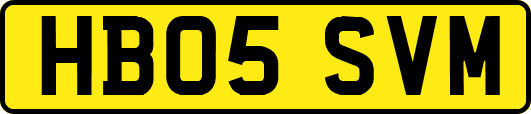 HB05SVM
