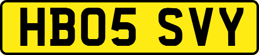 HB05SVY