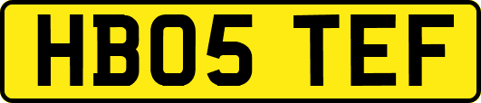 HB05TEF