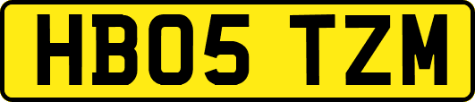 HB05TZM