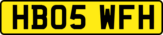 HB05WFH
