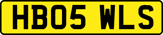 HB05WLS