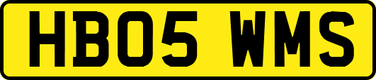 HB05WMS