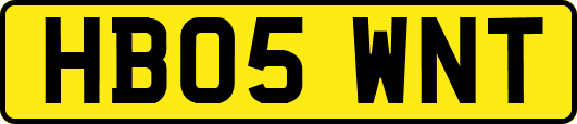 HB05WNT