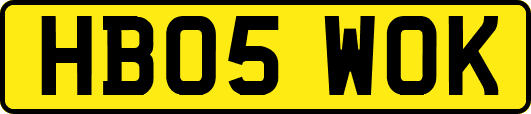 HB05WOK