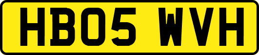 HB05WVH