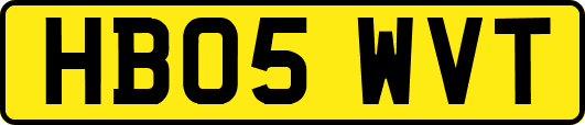 HB05WVT