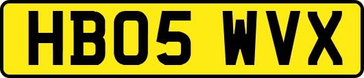 HB05WVX