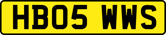 HB05WWS