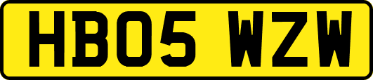HB05WZW