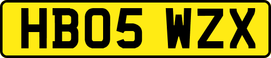 HB05WZX