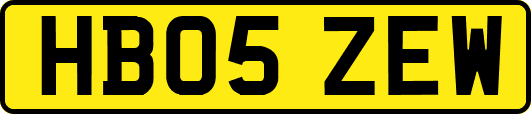 HB05ZEW