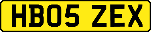 HB05ZEX